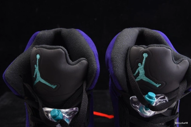 Rep TBkick Air Jordan Alternate Retro 136027-500 5 Grape 0806